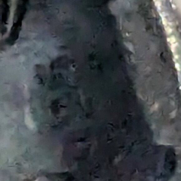 SOUFEEL 925 Sterling Silver Bangle Charm Bracelet - Picture 5 of 6